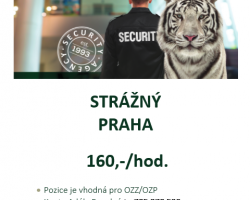 Ostraha objektu Praha 9