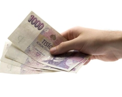 Rychlé půjčky a pojištění